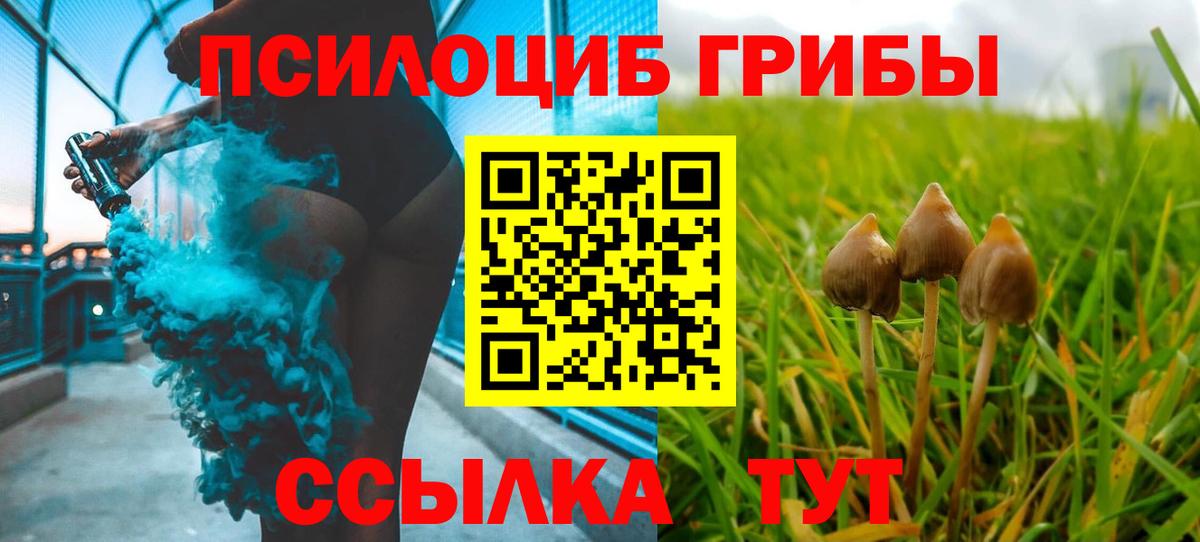 Галлюциногенные грибы мицелий  Вход с VPN  Пыть-Ях  Галлюциногенные грибы MAGIC MUSHROOMS 