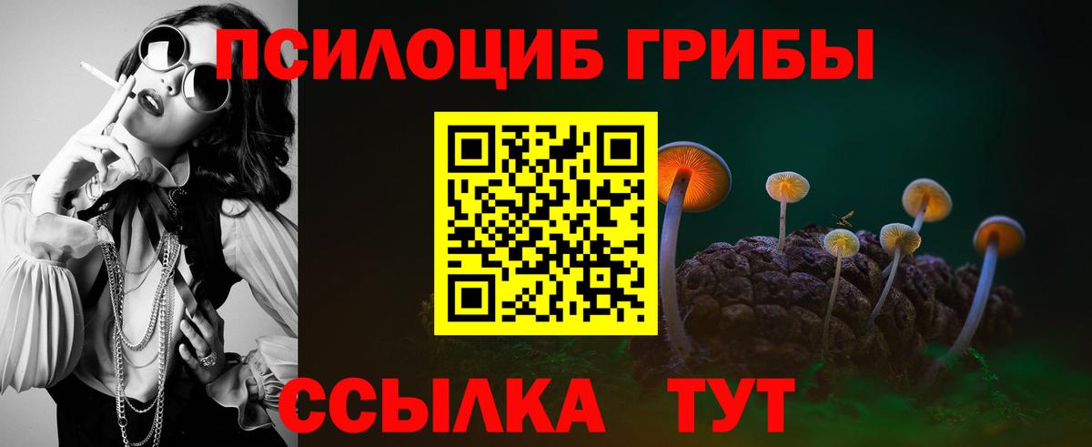 Псилоцибиновые грибы Psilocybine cubensis Пыть-Ях